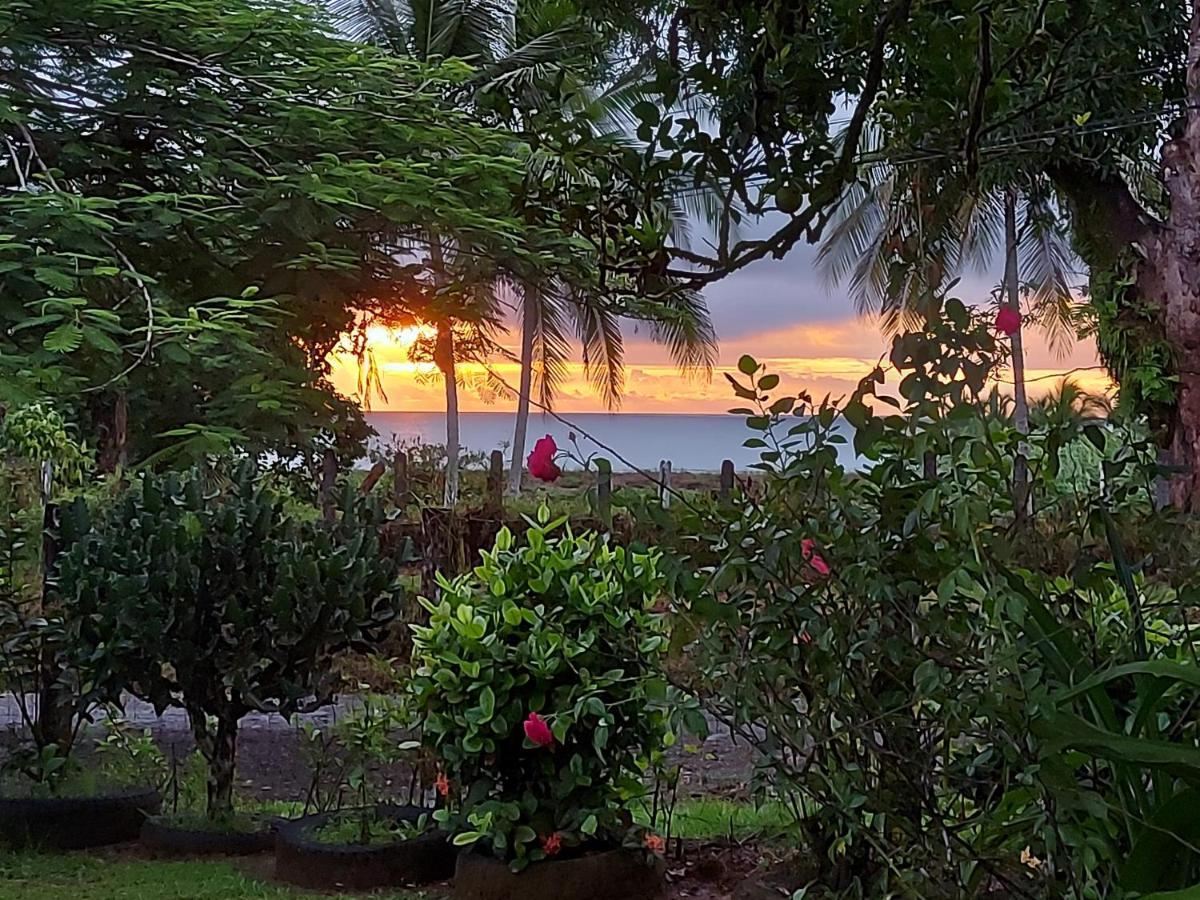 Hotel Gitana Corcovado, Y Tour Operador Drake Bay Exterior photo