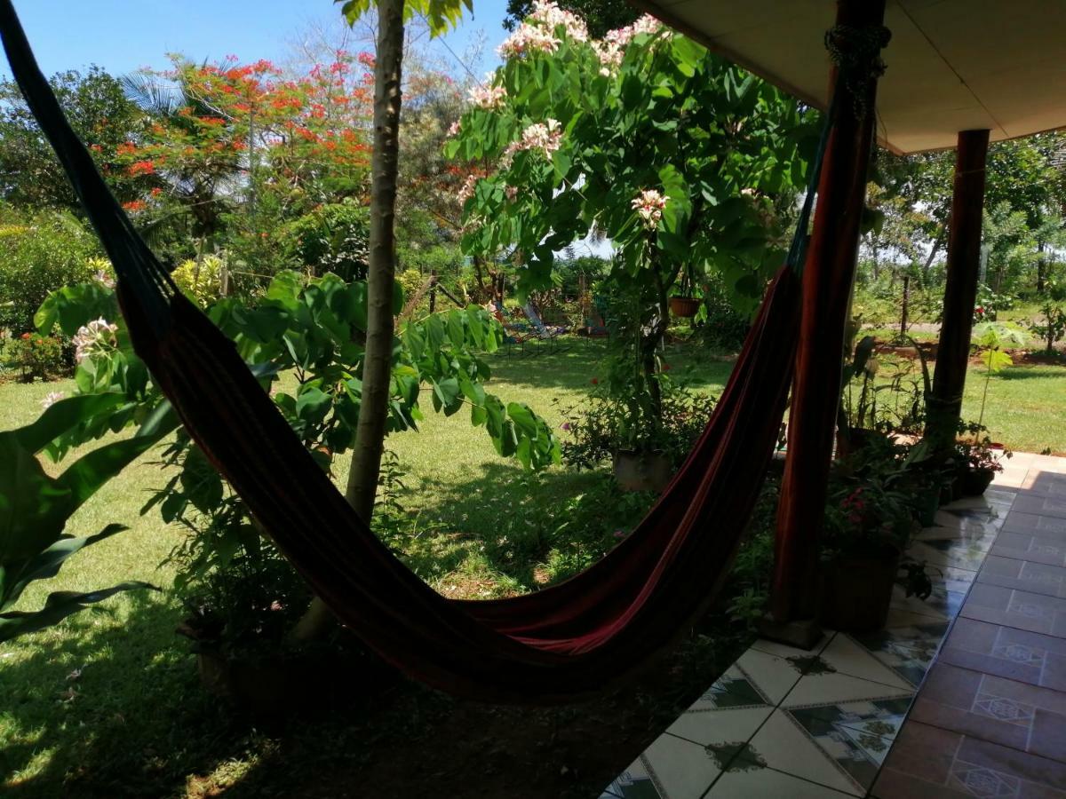 Hotel Gitana Corcovado, Y Tour Operador Drake Bay Exterior photo